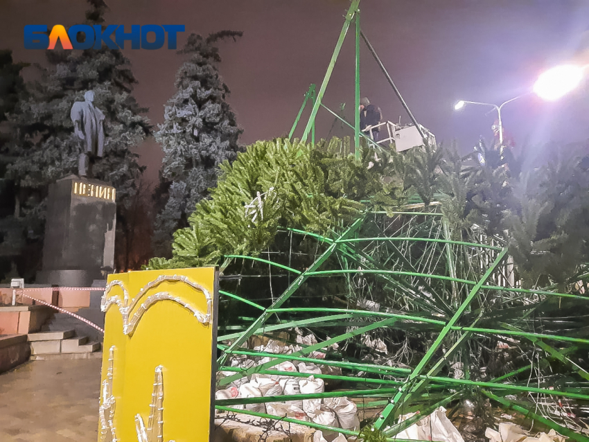 В Ростове-на-Дону главную городскую ель соберут около парка Горького к 10 декабря
