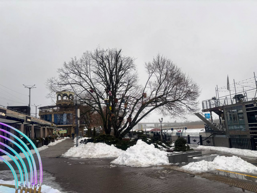 Мороз и пронизывающий ветер ожидаются в Ростове 9 февраля