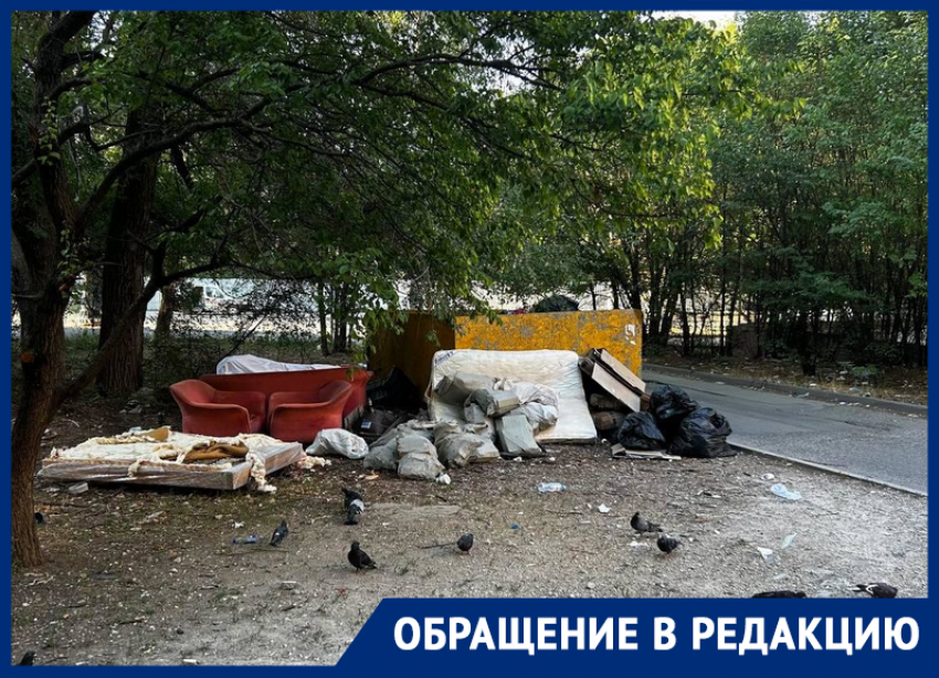 Опасная свалка: ростовчанка рассказала о пожаре из-за мусора возле дома на СЖМ и бездействии властей