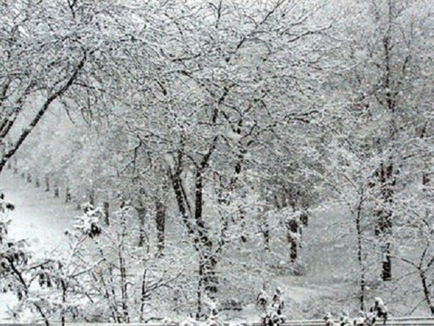 Сильный снегопад в Ростовской области сохранится до вечера 30 января