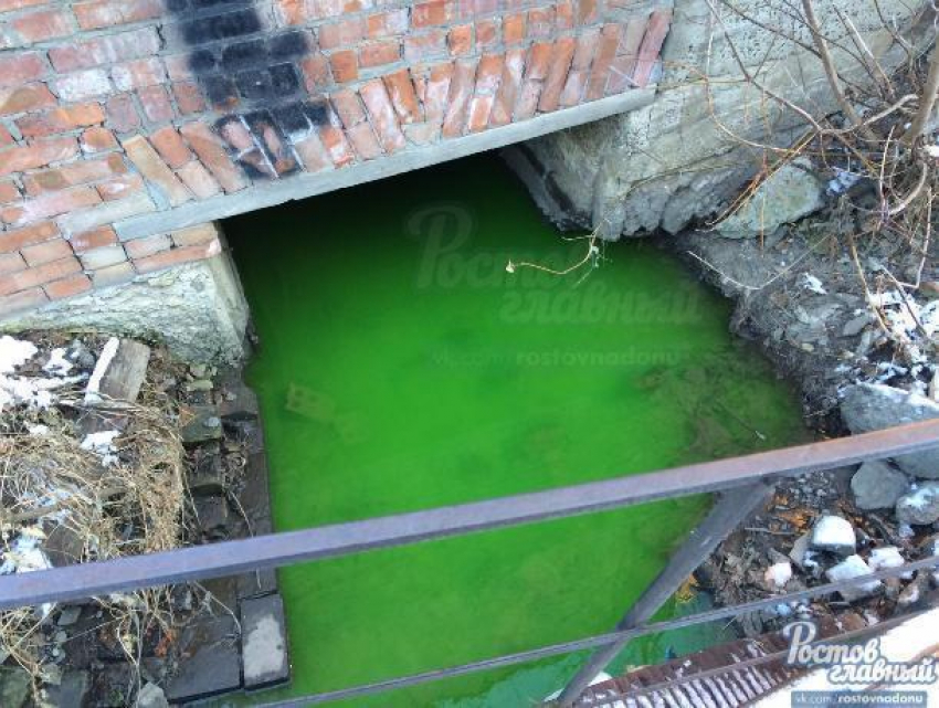Вода в Безымянной балке окрасилась в изумрудно-зеленый цвет
