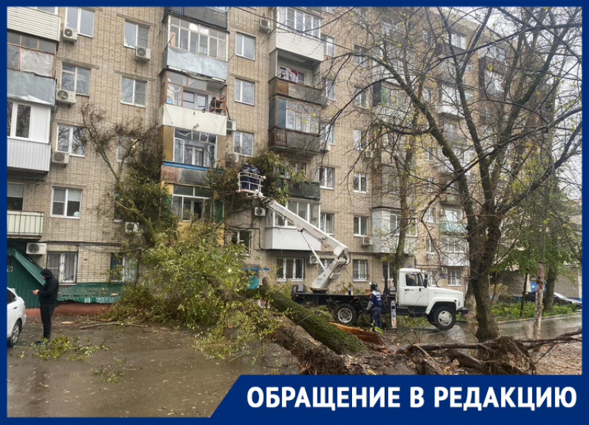 Вырванное с корнем дерево повредило несколько балконов в Ростове