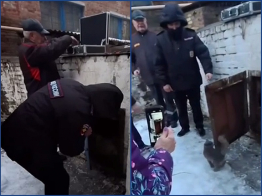 Полицейские спасли кота, запертого без еды и воды в подвале МКД в Ростове 