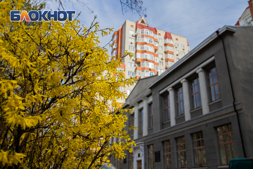 Прохладный и ветреный понедельник будет в Ростове 27 апреля