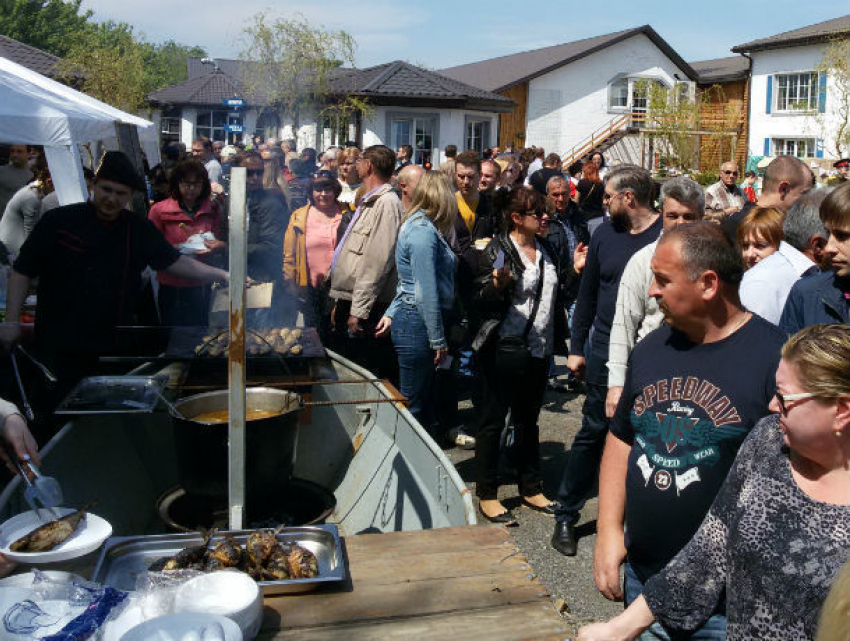Дегустация рыбы на фестивале донской селедки в Ростове прекратилась после отъезда чиновников