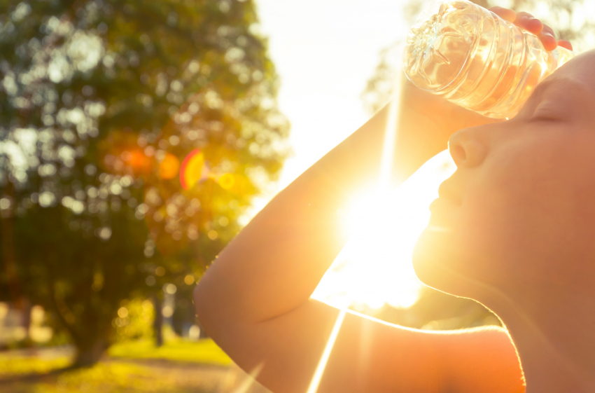 Жара до +35 градусов и сильный ветер ожидаются в Ростове в субботу