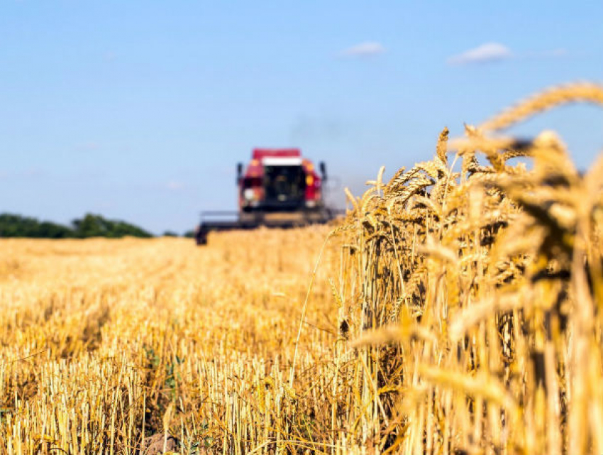 Отраслевой сельскохозяйственный хаб появился на Юге России 