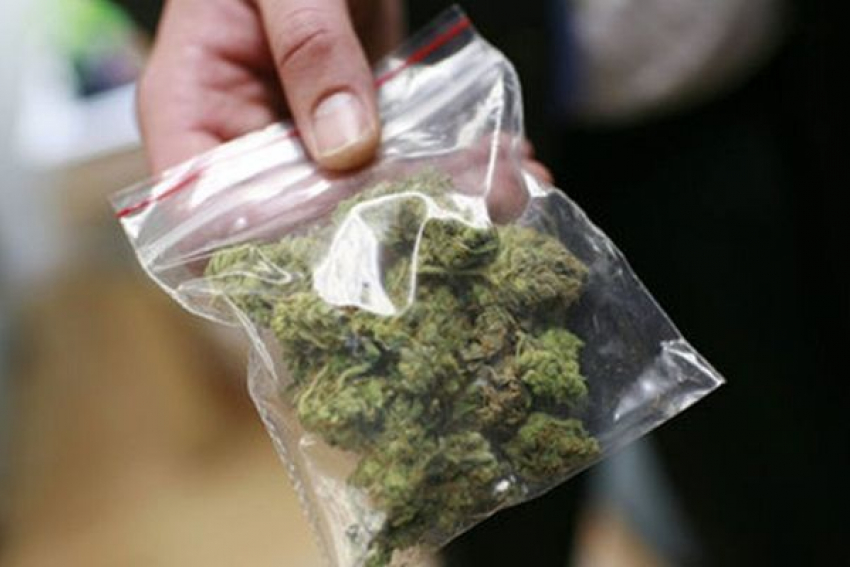 В Неклиновском районе у водителя рейсового автобуса изъяли более 2,5 килограммов марихуаны