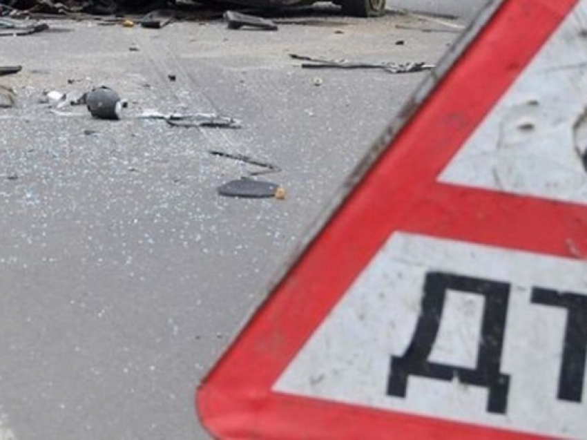 Удар в дерево оказался роковым для пассажира автомобиля в Ростовской области