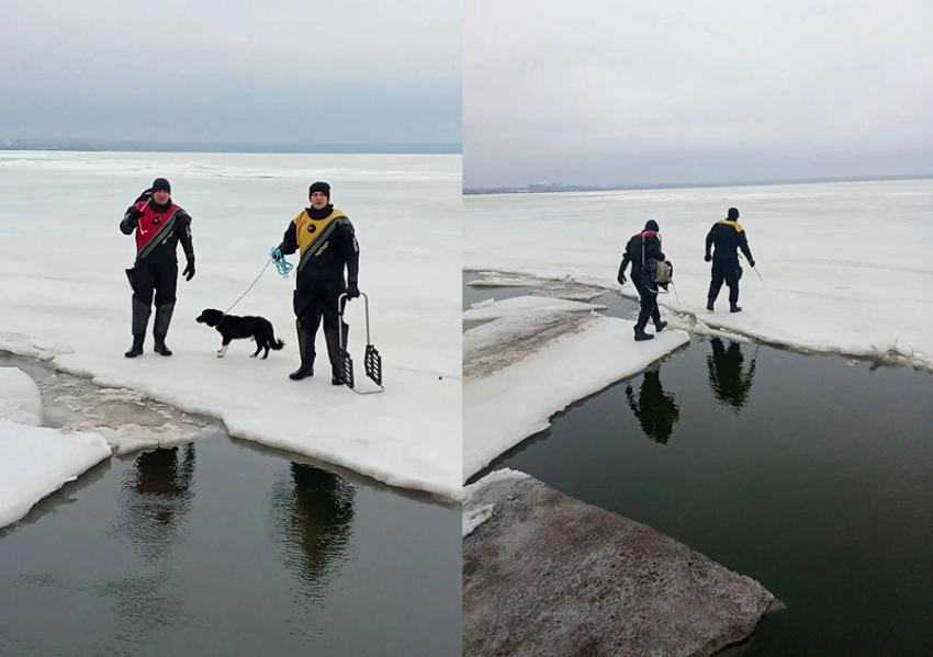 Дрейфовавшую на льдине собаку спасли в Таганрогском заливе