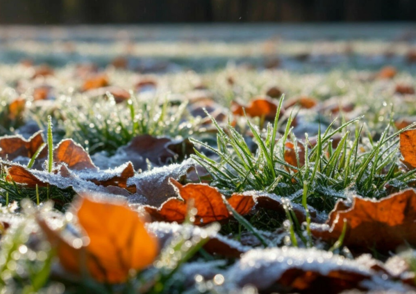 Экстренное предупреждение от МЧС: на Дон идут заморозки
