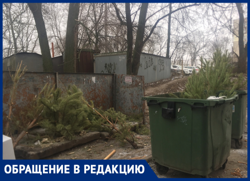 Жительницу Ростова возмутило безответственное отношение горожан к елкам