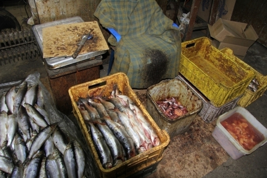 В Ростовской области «накрыли» цех по производству опасной для здоровья рыбы