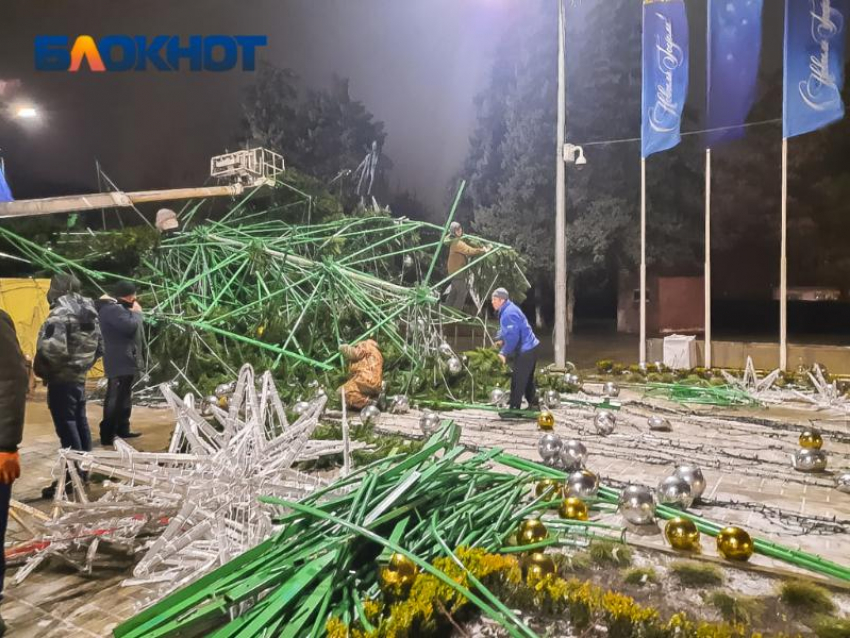 Упавшую из-за ветра главную елку Ростова восстановят по гарантии