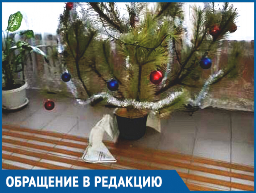 «В собесе елка из документов - вот и наша безопасность», - пожаловался житель Ростовской области