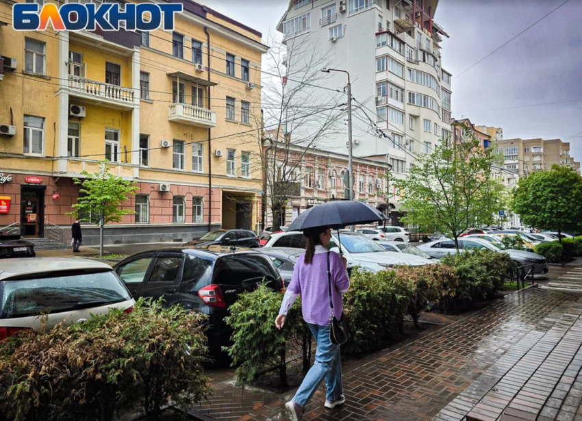 В Ростове 13 мая потеплеет до +24 градусов и пройдут дожди