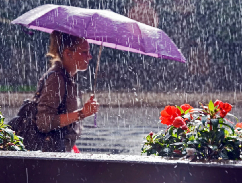 Дождливый и пасмурный вторник обещают синоптики жителям Ростова