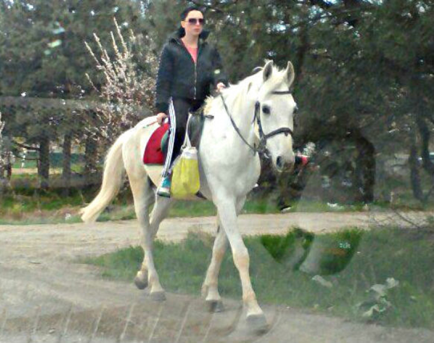 Принцессу на «отобранном у принца» белом коне высмеяли жители Ростова