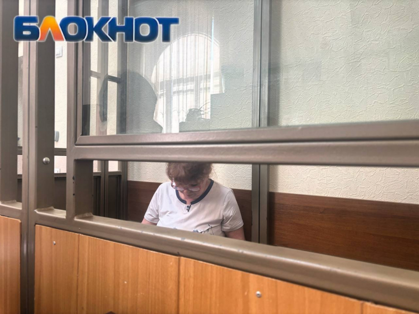 За закрытыми дверями: что скрыла от журналистов запись по делу донского экс-министра финансов Федотовой