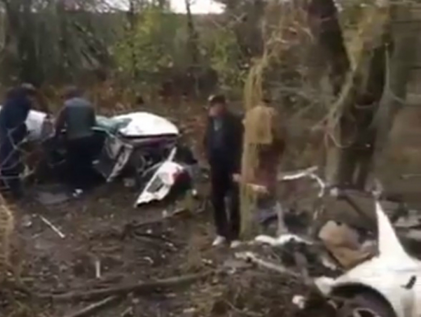 «Тойоту» вместе с водителем разорвало напополам при ударе о дерево в Ростовской области на видео