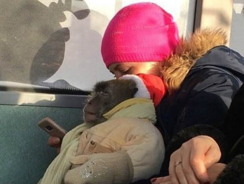 Прокатившаяся в автобусе с «особенным» ребенком на руках женщина вызвала истерику у жителей Ростова
