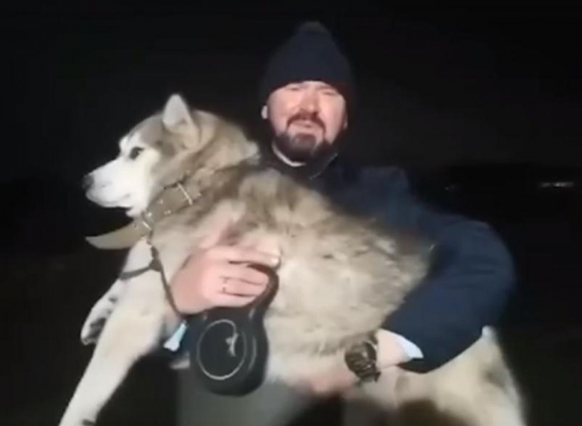 Министр экономического развития Ростовской области во время бури спас собаку