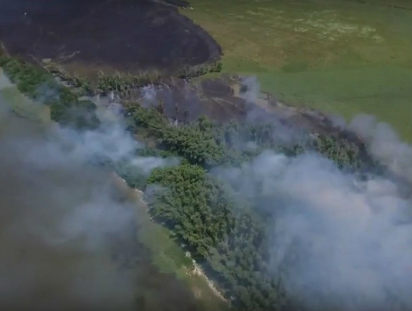 Огромный пожар уничтожает Кумженскую рощу на видео в Ростове