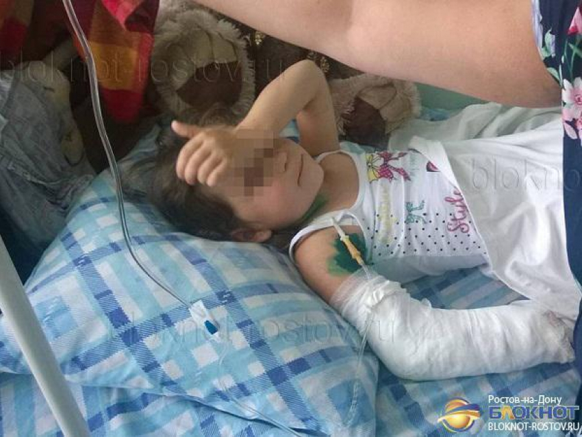 В Ростовскую больницу доставили 5-летнюю девочку, которой медведь откусил руку. Видео