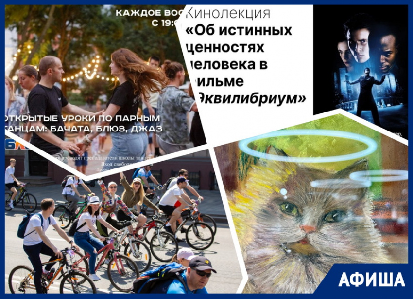Ищем «Второе призвание», участвуем в велопробеге и танцуем у публички: куда пойти в Ростове на этой неделе