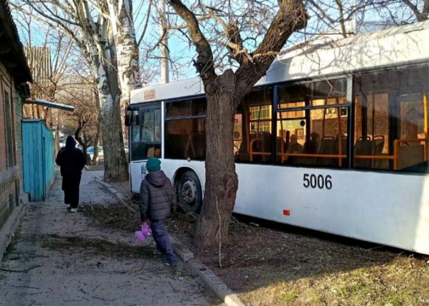 Два человека пострадали при столкновении автобуса с деревом в Ростове