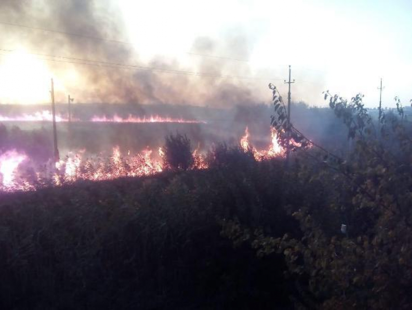 Под Ростовом тушат крупный ландшафтный пожар