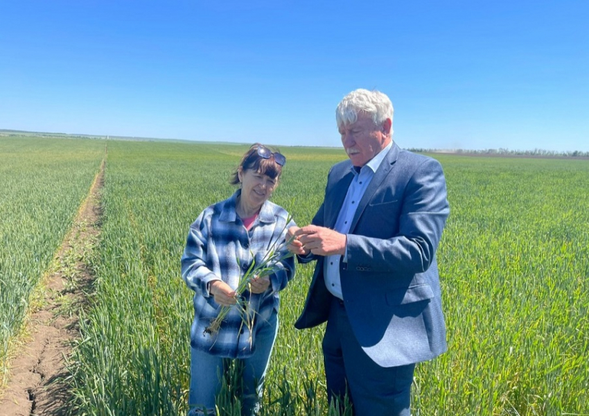 Депутаты донского заксобрания попросили правительство РФ помочь преодолеть последствия плохой погоды