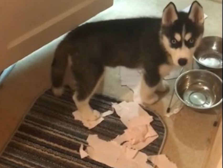 Ростовчанка показала, как выглядят три минуты тишины