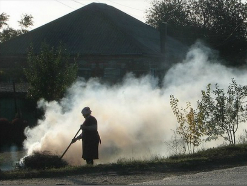 Войны «поджигателей» с мирными соседями начались в садовых товариществах Ростова
