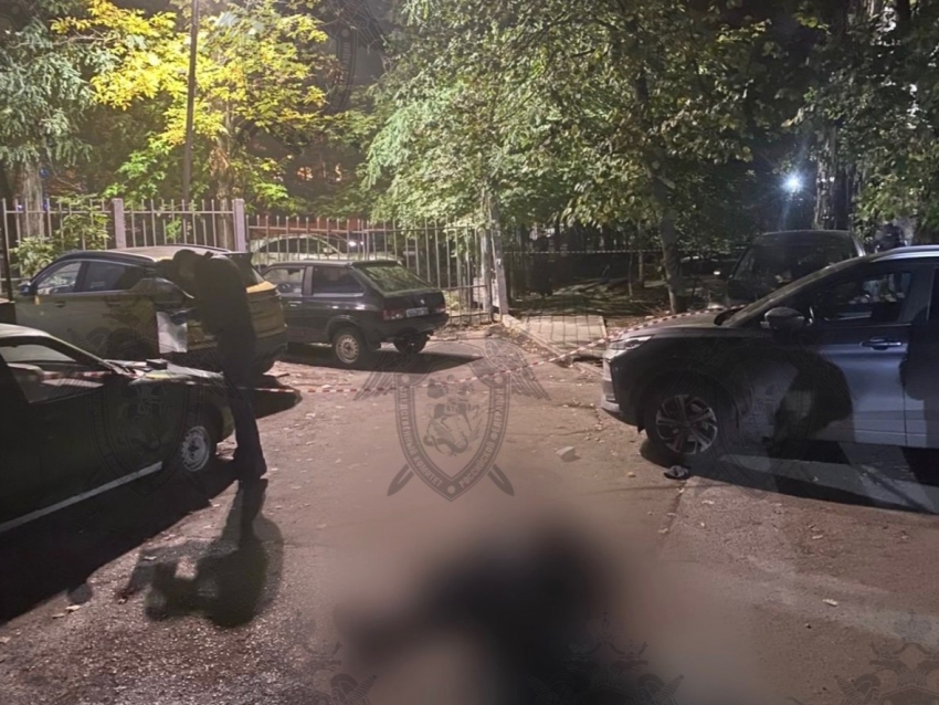 В Ростове осудят парня, который жестоко убил прохожего и пытался сбежать из страны