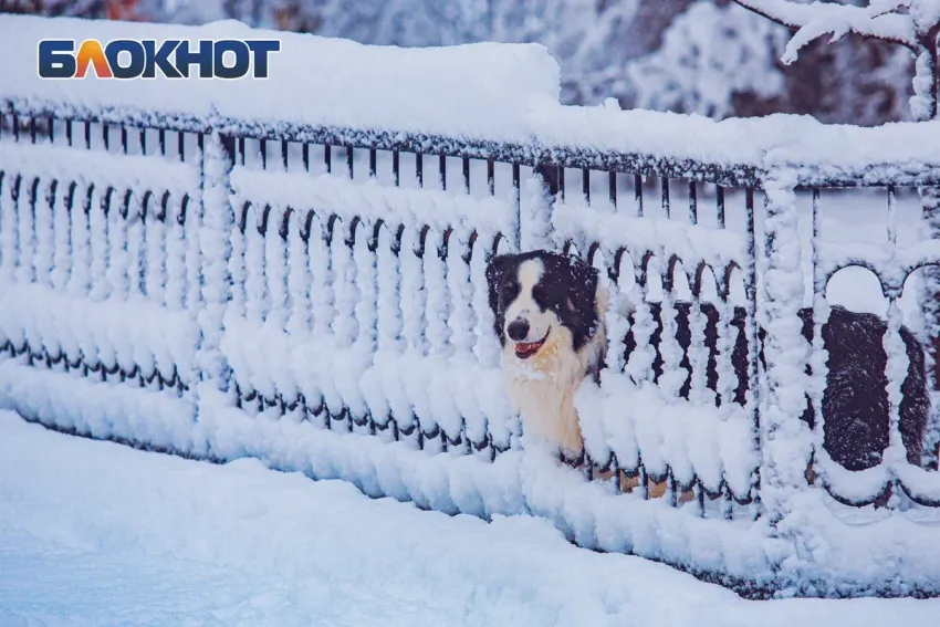 Синоптики рассказали, когда ожидается первый снег в  Ростовской области 
