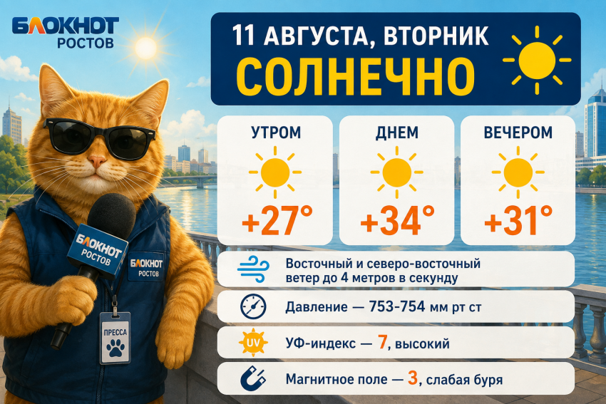 Погода в Ростове-на-Дону: жара до +34 градусов и слабая магнитная буря