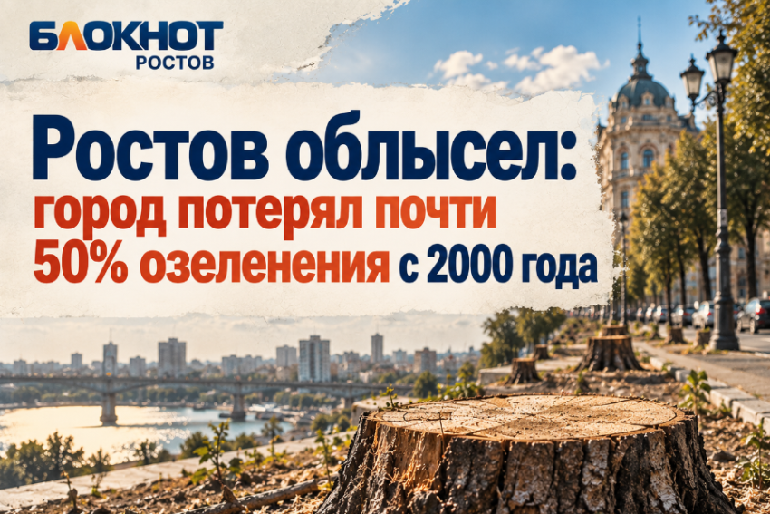 Ростов облысел: город потерял почти 50% озеленения с 2000 года
