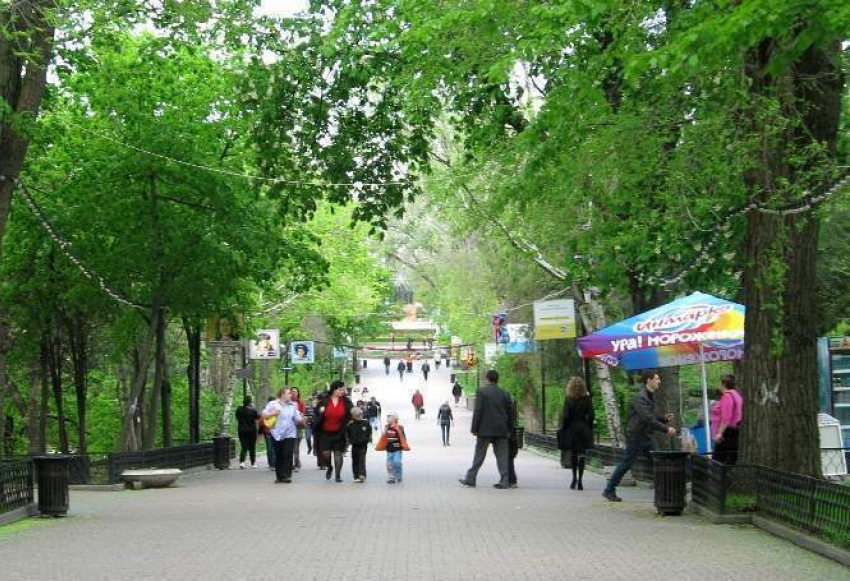 Власти Ростова предложили корейцам заняться освещением парка Горького