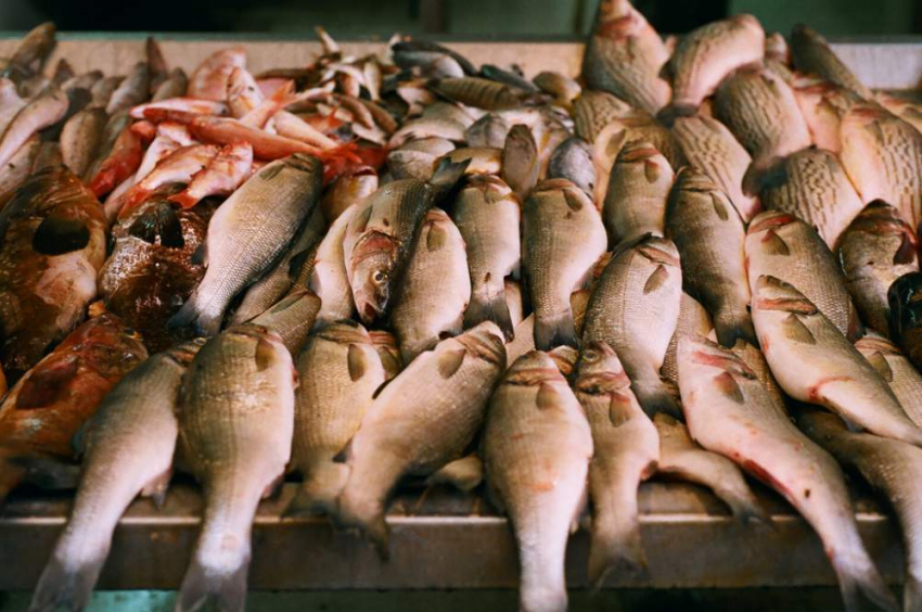 На Пушкинской в Ростове незаконно продавали живую рыбу