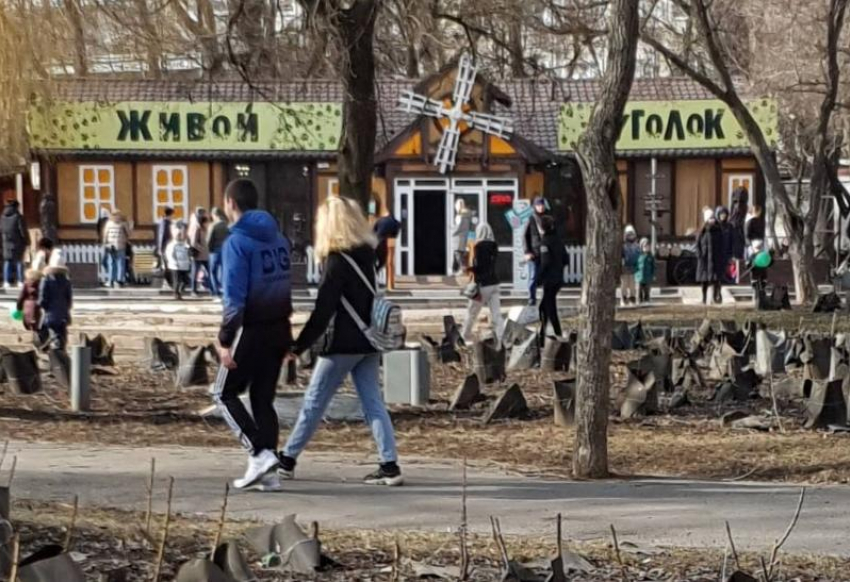 Депутат гордумы Ростова потребовала проверить работу трогательного зоопарка