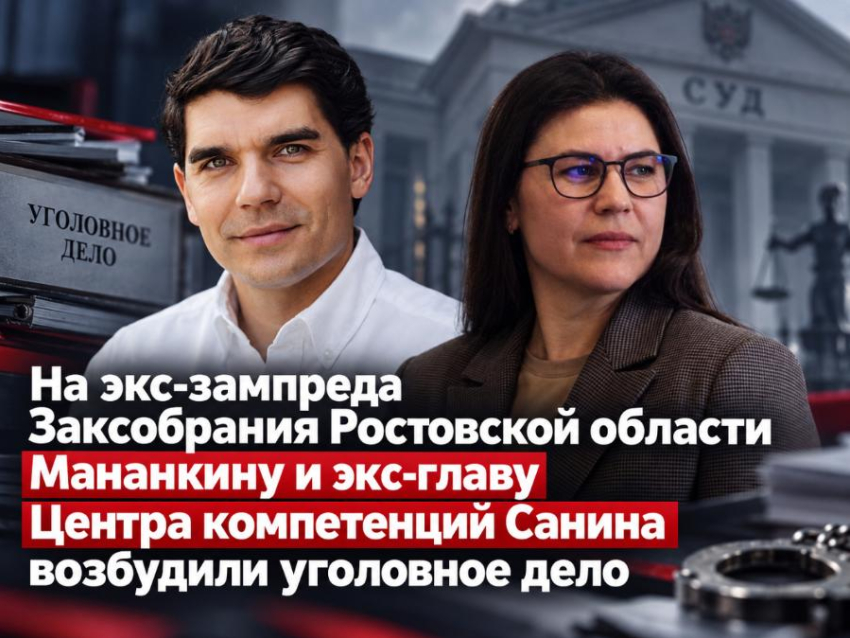 Уголовное дело возбудили на экс-зампреда Заксобрания Ростовской области Мананкину и экс-главу Центра компетенций Санина 