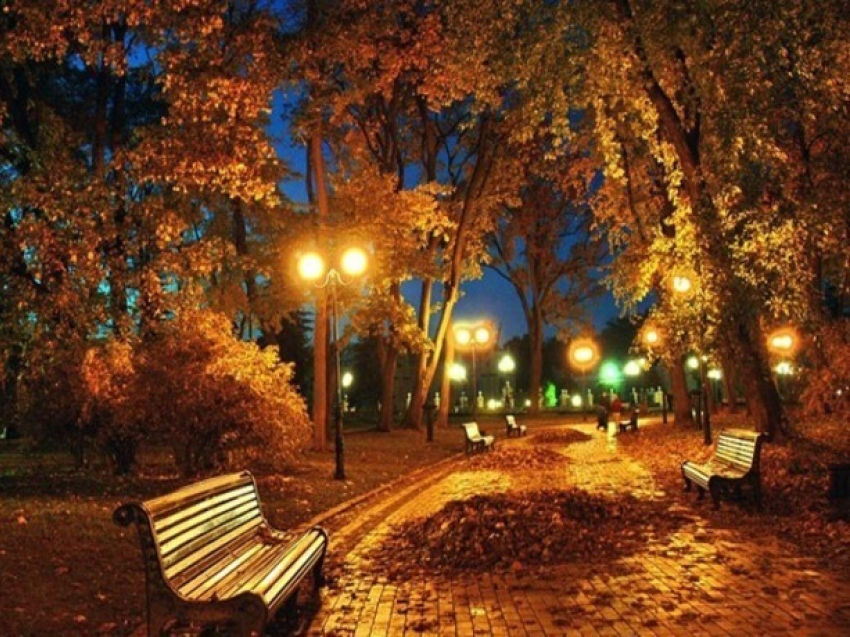 Создать красивую аллею с фонарями и лавочками на улице Зорге просит любительница прекрасного из Ростова