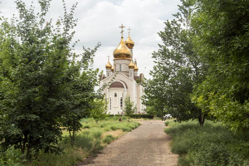 Компания сына депутата благоустроит парк имени 8 марта в Ростове за 28 млн рублей