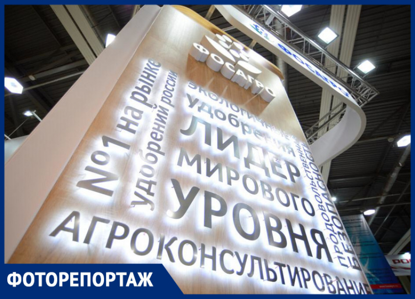 Василий Голубев о развитии сельского хозяйства: «Высокий урожай невозможен без минеральных удобрений»