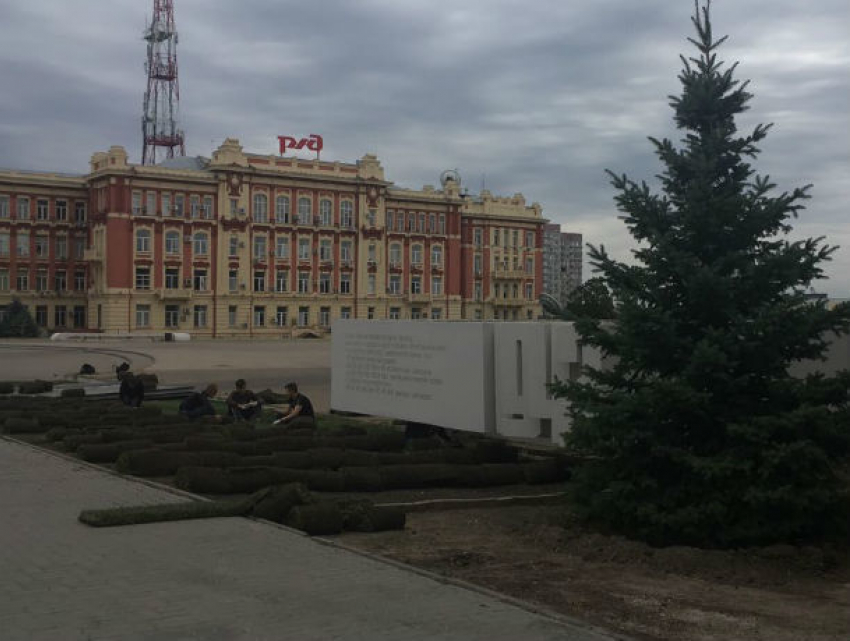 К Дню города в Ростове обновили газоны на Театралке и расчистили парк «Левобережный"