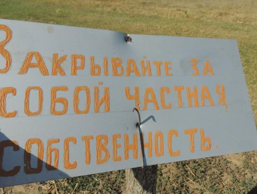 В Ростовской области чиновники сдали общественные пастбища в аренду и теперь селяне готовятся резать своих коров