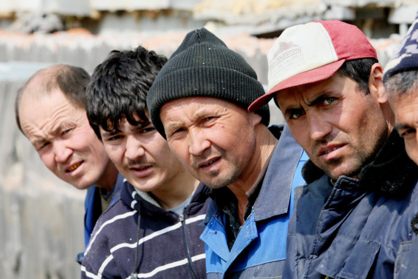 Каждый день Ростовскую область пересекает 27 тысяч мигрантов