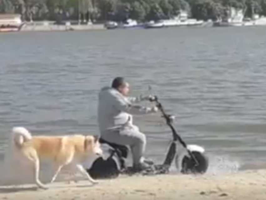 Креативная утренняя прогулка безмятежно счастливого собачника на левом берегу Дона попала на видео в Ростове