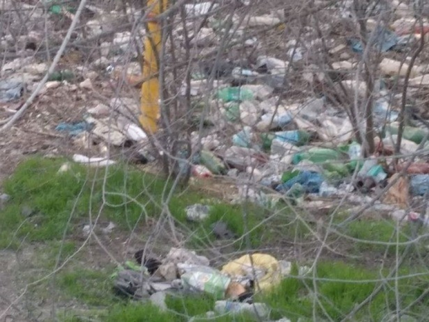 За мусор на улицах города незадачливых любителей свинского образа жизни штрафовали две тысячи раз в Ростове
